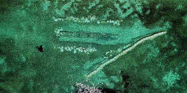 Bild 4: Über 4500 Jahre alter Einbaum: Das älteste Wasserfahrzeug des Bodensees wird im Seerhein bei Konstanz geborgen