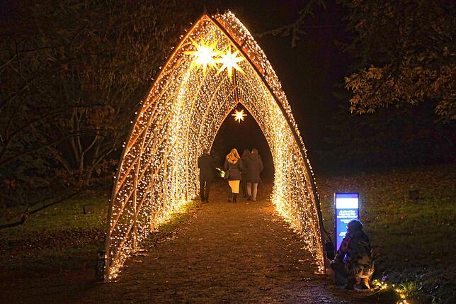Bild 7: Insel Mainau: Bilder vom Start des Christmas Garden 2023 - Teil 1