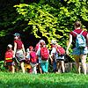 Auf in den Wald: Kinder und Betreuer auf dem Weg ins schattige Grün.