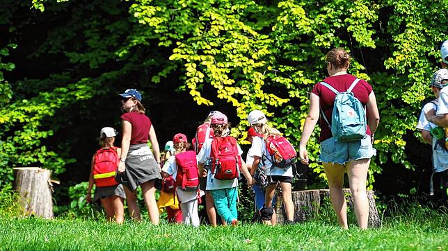 Auf in den Wald: Kinder und Betreuer auf dem Weg ins schattige Grün.