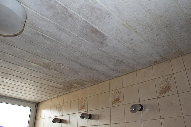 Wenn eine Baustelle beseitigt wird, taucht eine neue auf. Die Decke im Duschbereich muss wieder auf Vordermann gebracht werden.
