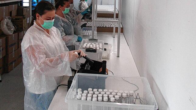 Um dringend benötigtes Desinfektionsmaterial für die Hände zu produzieren, hat die Firma Voigtländer in Riedböhringen einen neuen ...
