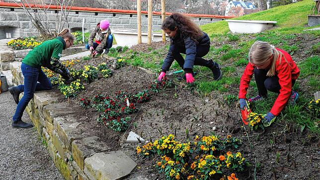 Die Vorbereitungen zur Eröffnung der Landesgartenschau am 23. April werden fortgesetzt (hier Europas Minigärtner bei der Arbeit). Stadt ...