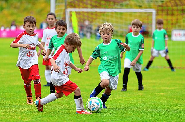 Bild 12: Unsere große Bildergalerie vom Bambini-Turnier beim Schlossseecup des FC RW Salem