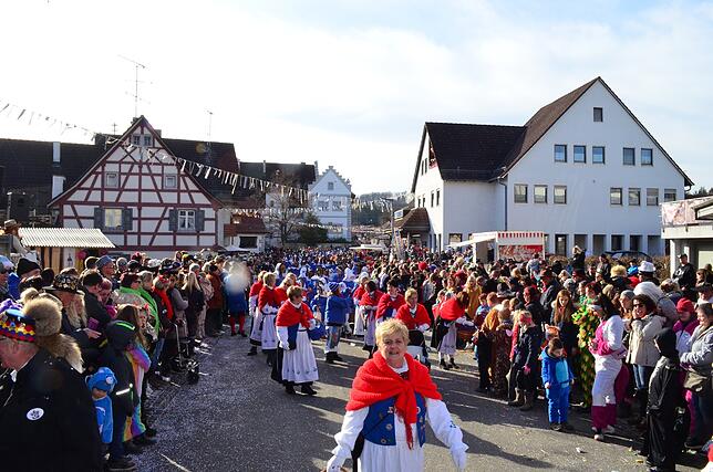Bild 4: Eigeltinger Narrentage: Der Sonntagsumzug in Bildern (2)