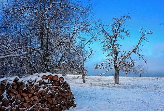 Winter im Weilheimer Ortsteil Aisperg: So verzaubert Schnee die Landschaft.