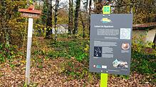 Zehn solcher Tafeln wurden entlang des neun Kilometer langen Rundwegs aufgestellt. Sie bieten beidseits des Rheins einen vielfältigen ...