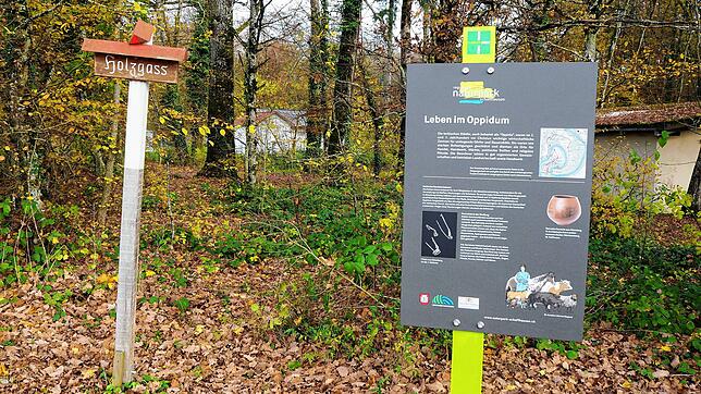 Zehn solcher Tafeln wurden entlang des neun Kilometer langen Rundwegs aufgestellt. Sie bieten beidseits des Rheins einen vielfältigen ...
