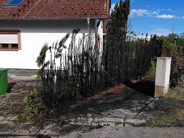 Die Feuerwehr löscht am Mittwoch einen Heckenbrand in Grüningen und verhindert Schlimmeres.