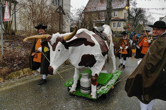 Die Kuhsattler aus Hohenfels bei Stockach mit Kuh Elsa.