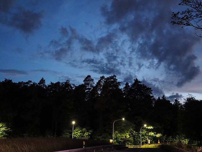 22:07 Uhr:  Die Dämmerung verhüllt gnädig die rabenschwarzen Wolken, die zweitweise über den Uni-Wald hingen. Es ist schon ein auch ...