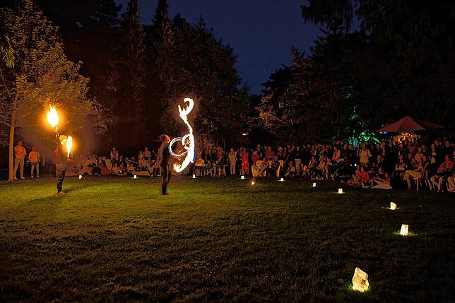 Bild 8: Lichtgestalten erobern das Gelände der Landesgartenschau &ndash; hier gibt es die Bilder
