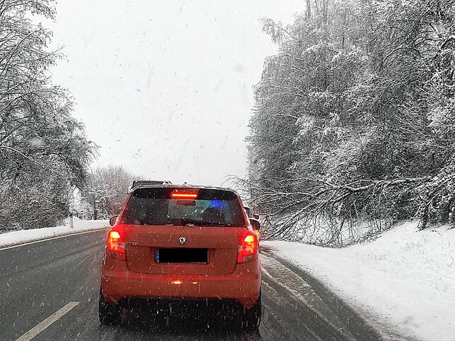 Schwerer Schnee: Wegen des starken Schneefalls ist ein Baum auf die B 34 zwischen Dogern und Albbruck gekippt. Die Polizei hat die ...