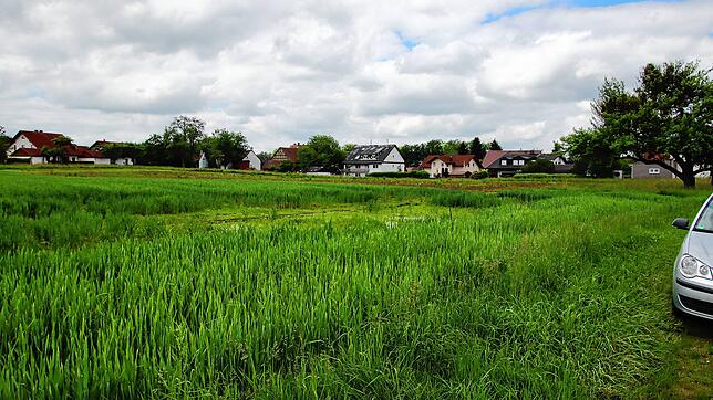 Die Erschließung des Baugebietes „Öschle“ in Herdwangen startet 2025 und wenn alles gut geht, könnten Häuslebauer im Herbst 2025 oder ...