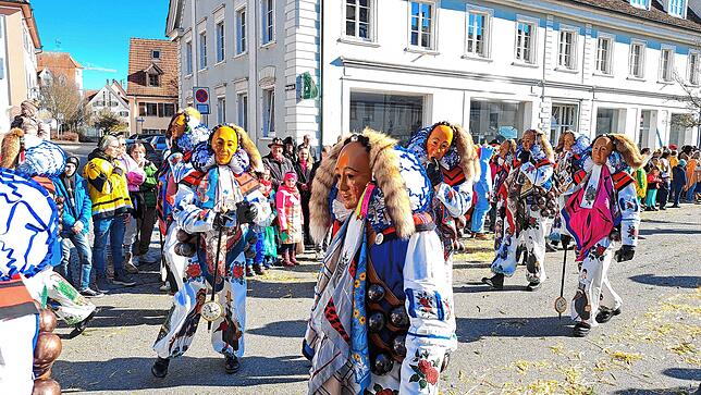 Bild 9: Fasnet 2025: Die schönsten Bilder vom Umzug in Hüfingen
