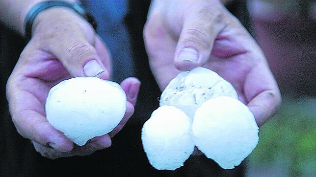 Furchteinflößend diese Hagelkörner, die 2006 vom Himmel fielen. Bild: Conny Kurz