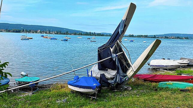 Dieses Bild bot sich am Mittwochmorgen, 12. Juli, den Allensbachern am Ufer des Gnadensees.