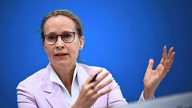 Frauke Brosius-Gersdorf zieht ihre Kandidatur für das Bundesverfassungsgericht zurück.