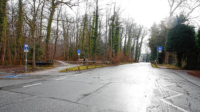 Die Eichhornsztraße Richtung Freibad Hörnle: Bislang mussten an dieser Stelle die Radfahrer die Straße queren und in den Waldweg (links) ...