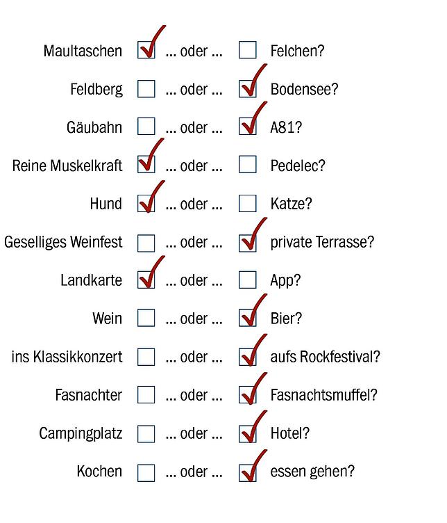 Bild 1: Bundestagswahl 2021: Kandidat Martin Rothweiler (AfD) will für den Wahlkreis Villingen-Schwenningen in den Bundestag