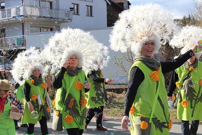 Bild 12: Bilder vom Rosenmontagsumzug in Wahlwies