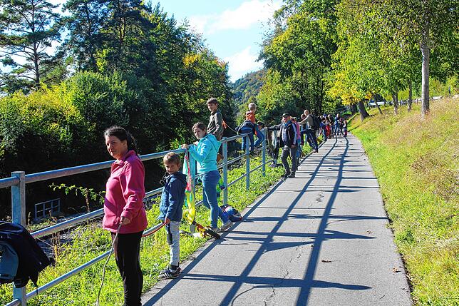 Bild 11: Bilder von der &bdquo;Querdenker&ldquo;-Menschenkette in Bodman-Ludwigshafen