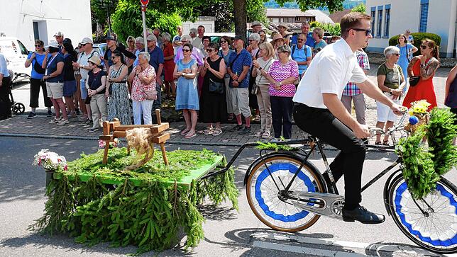 Bild 7: Großer Umzug in Hohentengen – die besten Momente