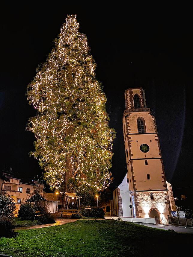Bild 2: Diese Weihnachtsbäume toppen alles