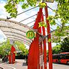 Der ZOB in Radolfzell. Das Stadtbuskonzept in der Stadt soll künftig überarbeitet werden &ndash; und umweltfreundlicher werden.