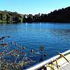 Die Vermisstensuche wurde am Montag am Steißlinger See fortgesetzt. Die DLRG unterstützte die Suche und suchte den Uferbereich vom ...