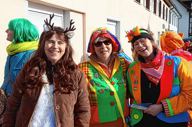 Bild 4: So bunt war der große Umzug beim Seenarrentreffen in Allensbach 2024 &ndash; Teil 1