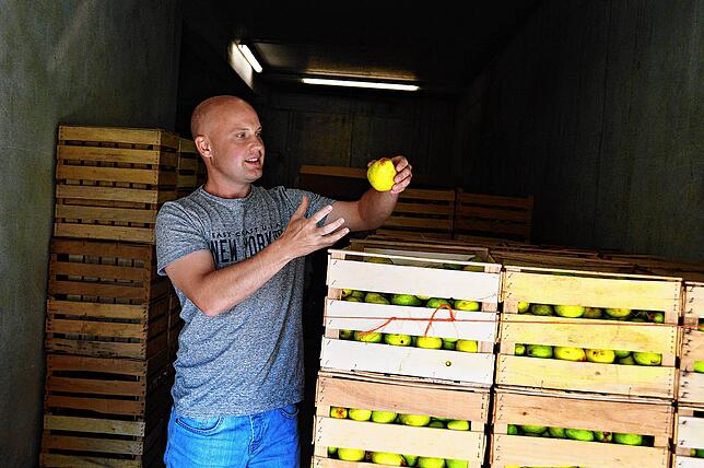 Mit der Frucht fängt alles an: Aus diesen Williamsbirnen wird in den kommenden Monaten Obstbrand hergestellt.