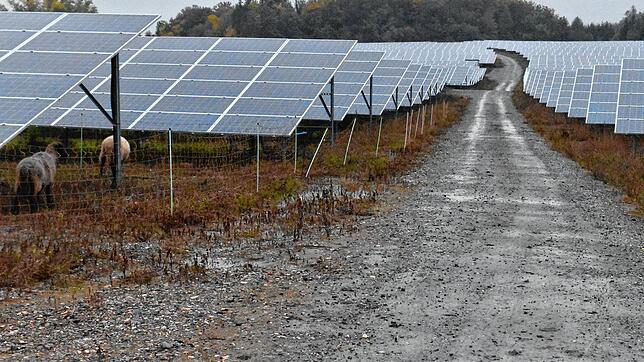 Wo der neue Solarpark in Gottmadingen hinkommen soll, steht noch nicht fest. Aber er soll, ähnlich wie der in Steißlingen (hier auf dem ...