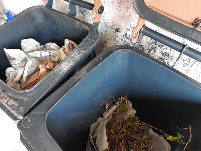 Bild 8: Das hilft gegen Maden und Gestank in der Tonne