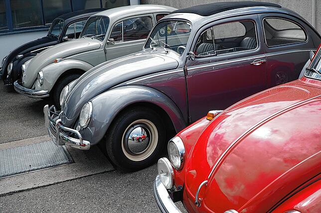 Keine Seltenheit, dass in Tengen Fahrzeugklassiker wie diese vier VW Käfer zu sehen sind. Sie standen beim Fototermin alle vor der ...