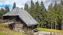Das Heidenschlössle in Furtwangen ist sagenumwoben und ziert das Furtwanger Stadtwappen. Am 6. September wird dort gefeiert. Foto: Stadt