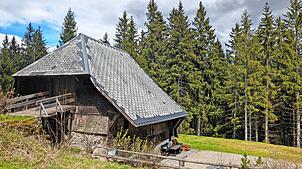 Das Heidenschlössle in Furtwangen ist sagenumwoben und ziert das Furtwanger Stadtwappen. Am 6. September wird dort gefeiert. Foto: Stadt