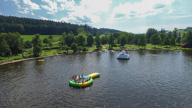 Der St. Georgener Klosterweiher aus der Luft.