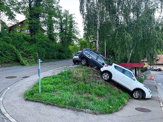 Die zwei Fahrzeuge stehen am abfallenden Wiesenbord. Links sieht man die platt gewalzten Büsche.