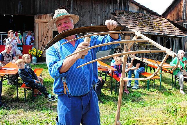 Bild 19: Tausende Besucher an der Bohlinger Sichelhenke