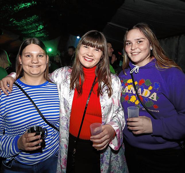 Bild 35: Bilder des Narrentreffens in Donaueschingen Pfohren (2)
