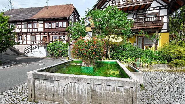 Bild 8: So lebt es sich in Sipplingen: Ein Streifzug durch die Gemeinde
