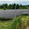 Wie hier bei Moos soll bei Worblingen ein Solarpark entstehen, der auch von Schafen beweidet werden kann.