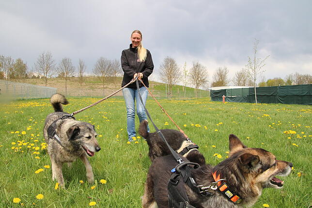 Tierheimleiterin Nadine Vögel mit ihren Neuzugängen.