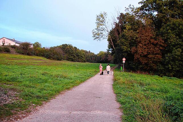 Der Blick von der Herderner Straße in Richtung Herdern. Links soll das Gebiet „Obere Stauden“ entstehen, links das Gebiet „Untere Stauden“.