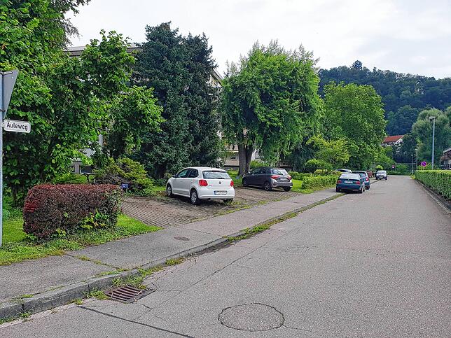 Bild 6: Hier gilt künftig in Waldshut-Tiengen Tempo 30 oder weniger