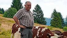 Landwirt Markus Kaiser (59) bei seinen Weiderindern im Schwarzwald.