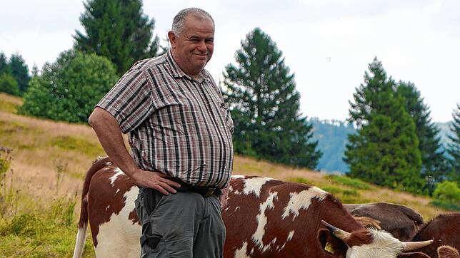 Landwirt Markus Kaiser (59) bei seinen Weiderindern im Schwarzwald.