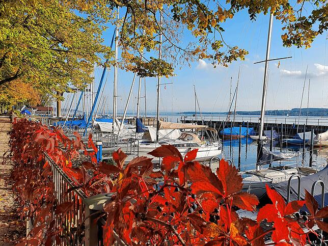 Buntes Herbstbild in Überlingen mit Blick auf Yachthafen und Bodensee (2022).