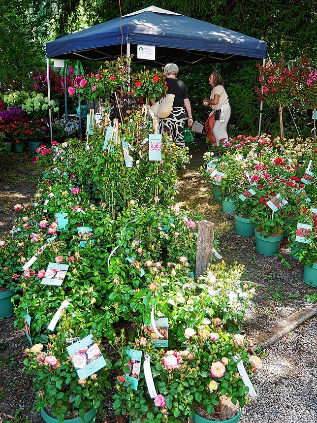Bild 19: Die schönsten Bilder von der DIGA-Gartenmesse im Bad Säckinger Schlosspark